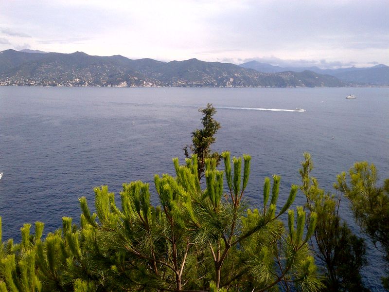 Golfo Golfo